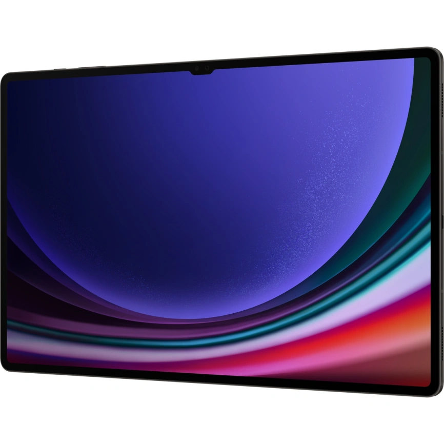 Планшет Samsung Galaxy Tab S9 Ultra Wi-Fi 16/1Tb Graphite (SM-X910) фото 5
